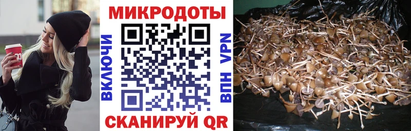 хочу наркоту  Руза  Псилоцибиновые грибы мицелий 